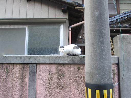f:id:yonhonda:20200204202411j:plain