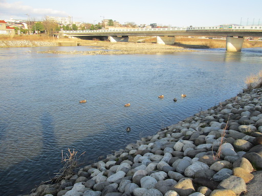 f:id:yonhonda:20200211200911j:plain