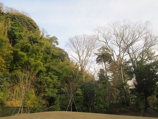 f:id:yonhonda:20200301165325j:plain