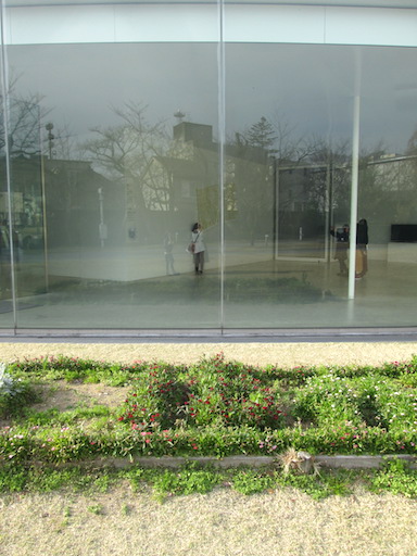 f:id:yonhonda:20200313162223j:plain