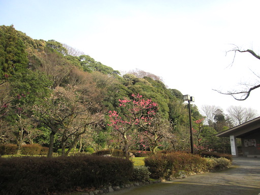 f:id:yonhonda:20200313162739j:plain