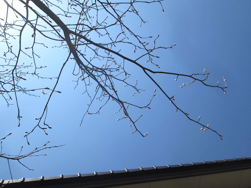 f:id:yonhonda:20200319164118j:plain