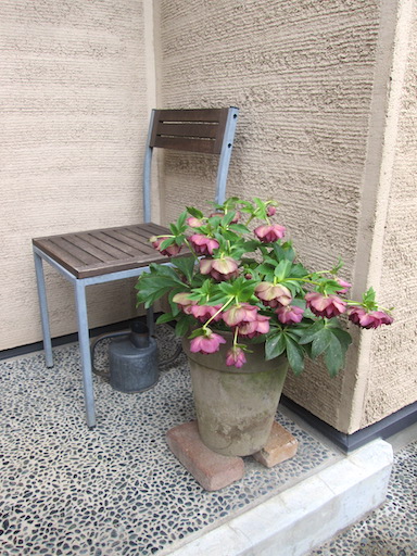 f:id:yonhonda:20200322164021j:plain f:id:yonhonda:20200322164021j:plain