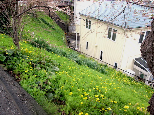 f:id:yonhonda:20200327181501j:plain