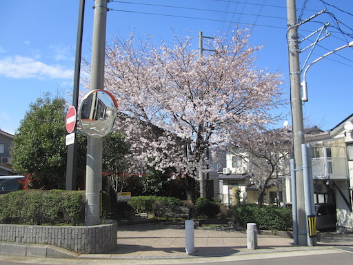 f:id:yonhonda:20200331162930j:plain