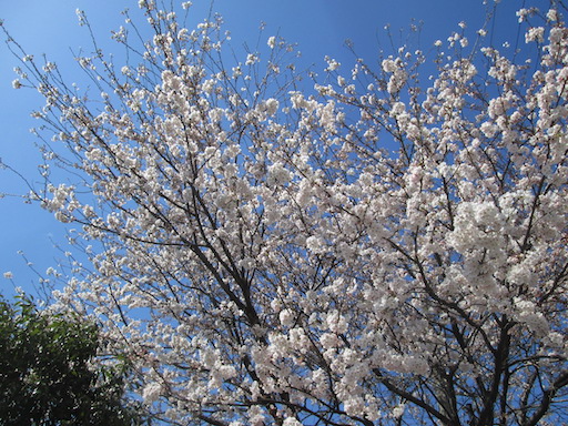 f:id:yonhonda:20200331163039j:plain