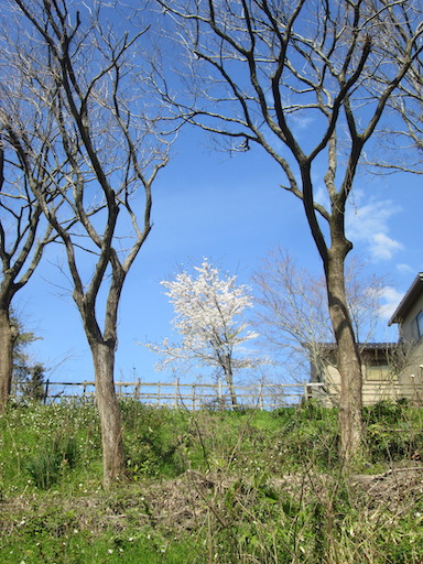 f:id:yonhonda:20200331163111j:plain