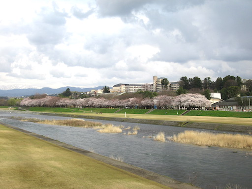 f:id:yonhonda:20200402204958j:plain f:id:yonhonda:20200402204958j:plain