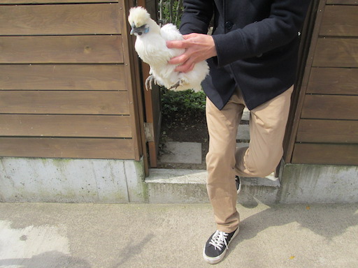 f:id:yonhonda:20200412095249j:plain