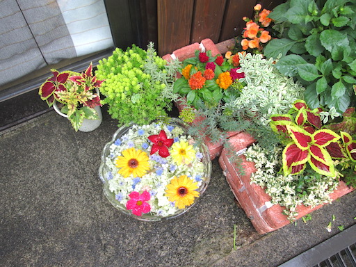 f:id:yonhonda:20200706065147j:plain