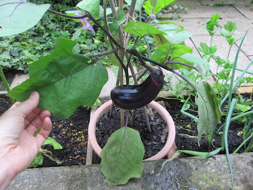 f:id:yonhonda:20200728060122j:plain