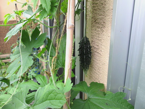 f:id:yonhonda:20200728060217j:plain