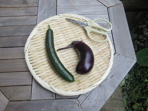 f:id:yonhonda:20200728060517j:plain