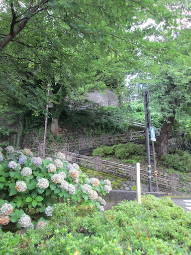 f:id:yonhonda:20200729062924j:plain