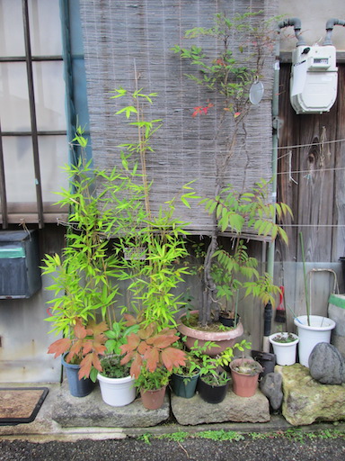 f:id:yonhonda:20200729064034j:plain