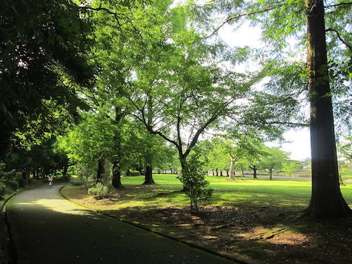 f:id:yonhonda:20200730060234j:plain