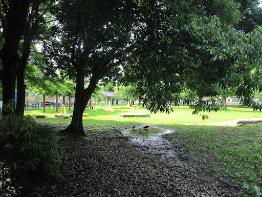 f:id:yonhonda:20200730060649j:plain