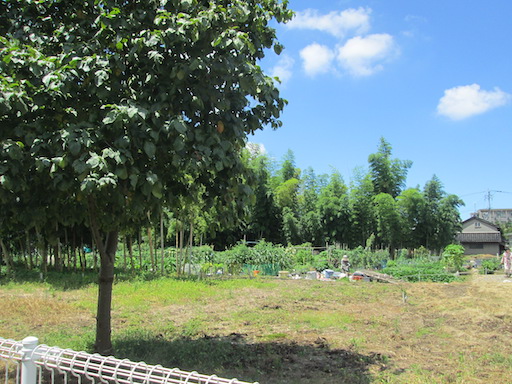 f:id:yonhonda:20200731061728j:plain