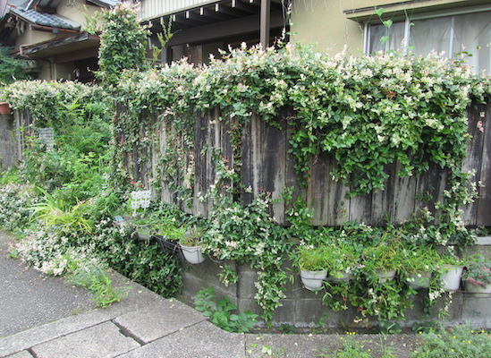 f:id:yonhonda:20200801062537j:plain f:id:yonhonda:20200801062537j:plain