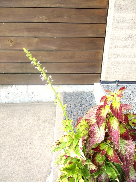 f:id:yonhonda:20200902102052j:plain f:id:yonhonda:20200902102052j:plain