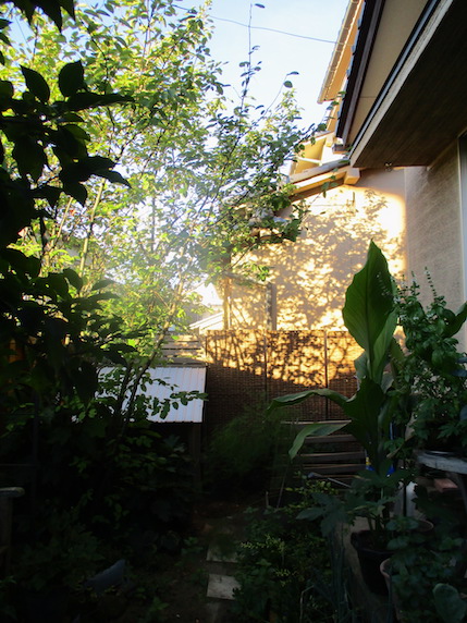 f:id:yonhonda:20200904103658j:plain f:id:yonhonda:20200904103658j:plain