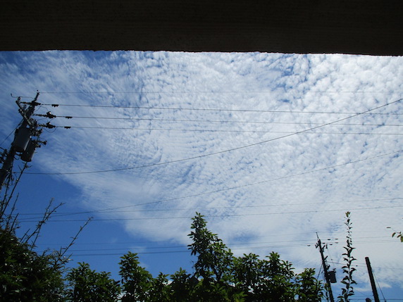 f:id:yonhonda:20200906064322j:plain