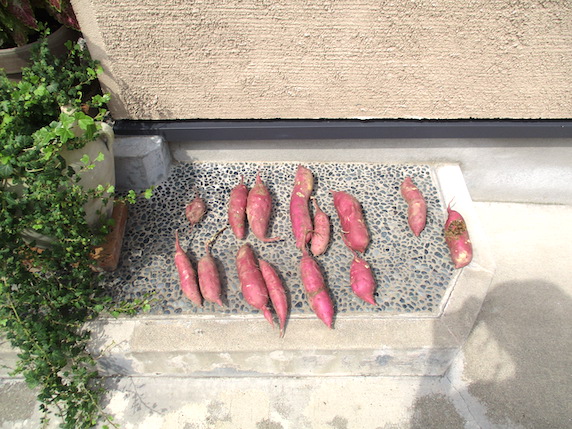 f:id:yonhonda:20200921093705j:plain
