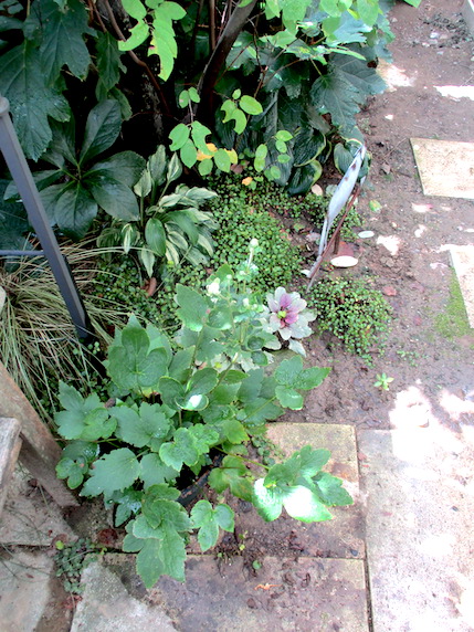 f:id:yonhonda:20200925084618j:plain