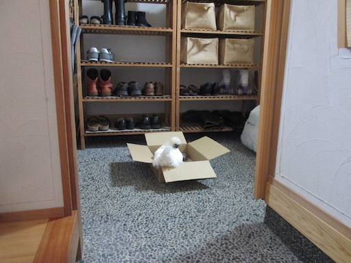 f:id:yonhonda:20200925091718j:plain