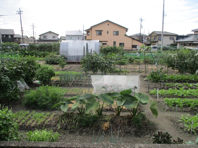 f:id:yonhonda:20201008113054j:plain