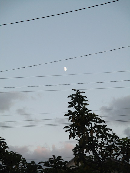f:id:yonhonda:20201026101712j:plain