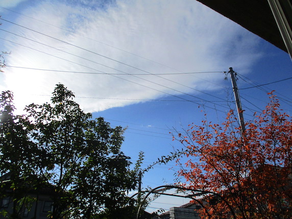 f:id:yonhonda:20201111080832j:plain