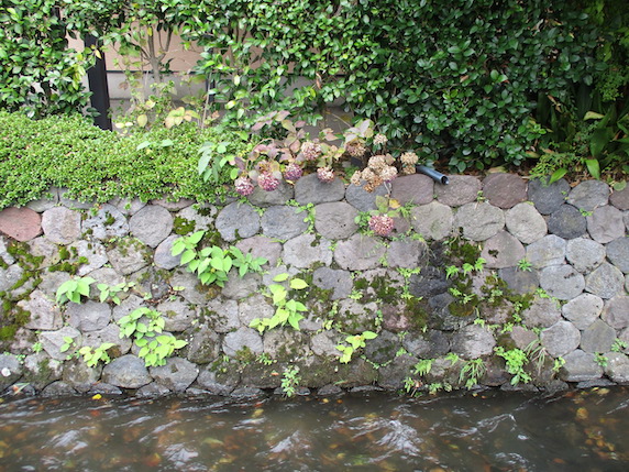 f:id:yonhonda:20201112085915j:plain