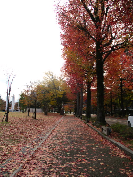 f:id:yonhonda:20201112093625j:plain