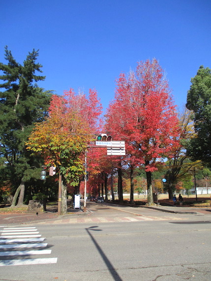 f:id:yonhonda:20201113081751j:plain f:id:yonhonda:20201113081751j:plain
