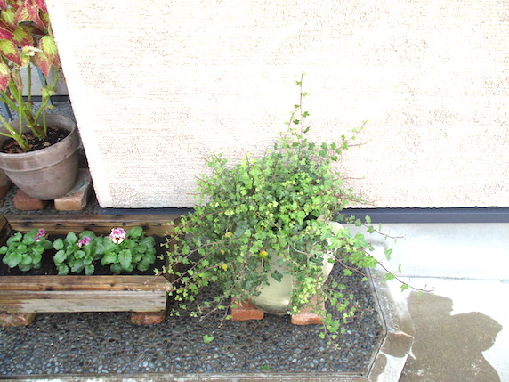 f:id:yonhonda:20201113082416j:plain f:id:yonhonda:20201113082416j:plain