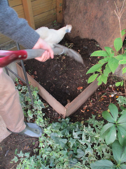 f:id:yonhonda:20201115092108j:plain