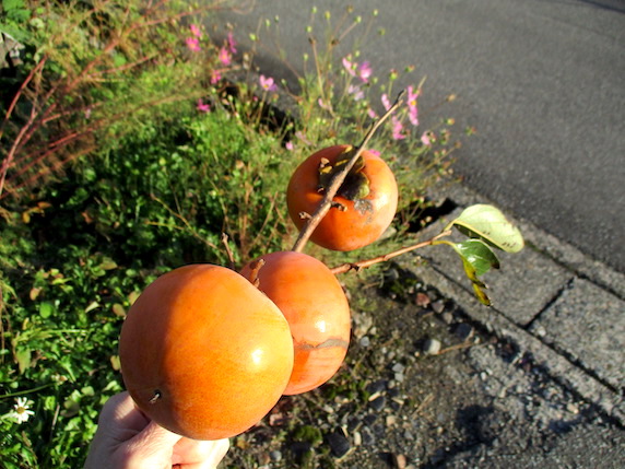 f:id:yonhonda:20201115093846j:plain