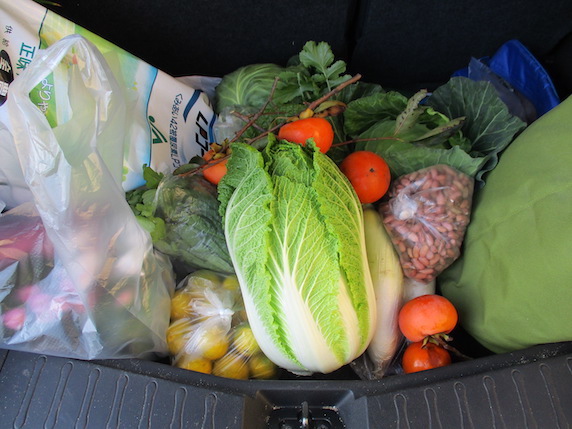 f:id:yonhonda:20201115094141j:plain