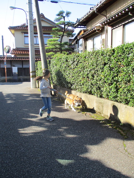 f:id:yonhonda:20201123100621j:plain