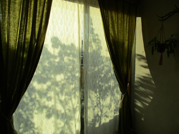 f:id:yonhonda:20210107150047j:plain