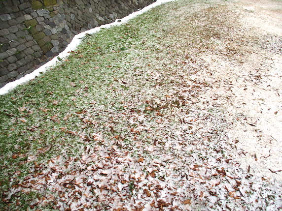 f:id:yonhonda:20210107151156j:plain