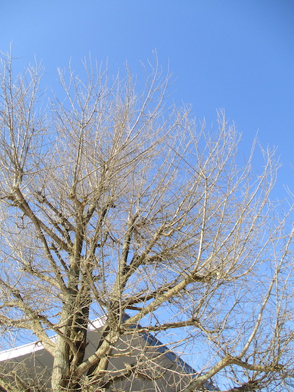 f:id:yonhonda:20210122084532j:plain