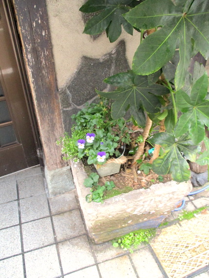 f:id:yonhonda:20210123100132j:plain