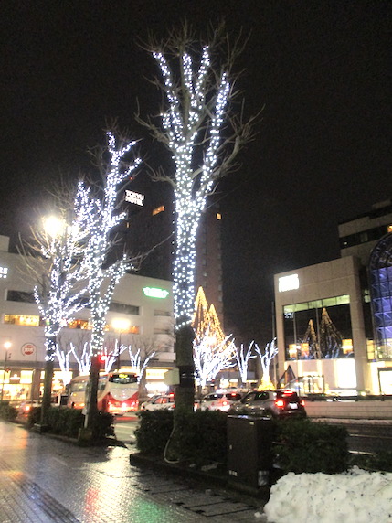 f:id:yonhonda:20210124102631j:plain