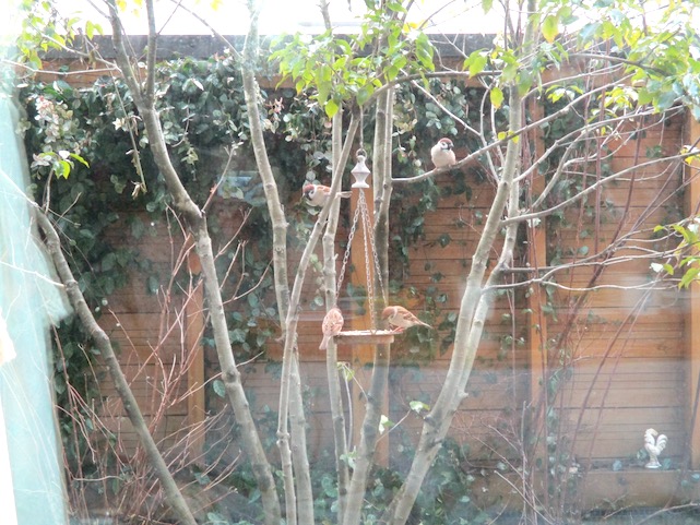 f:id:yonhonda:20210131225213j:plain