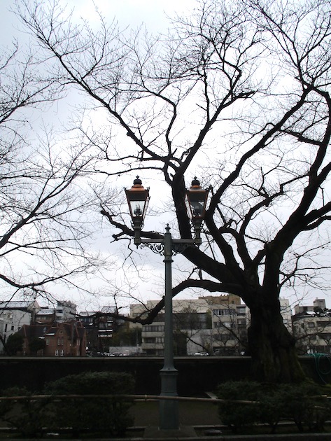 f:id:yonhonda:20210209084424j:plain