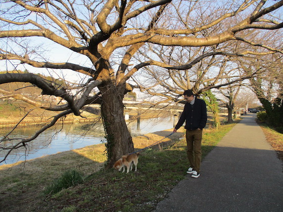 f:id:yonhonda:20210214091918j:plain