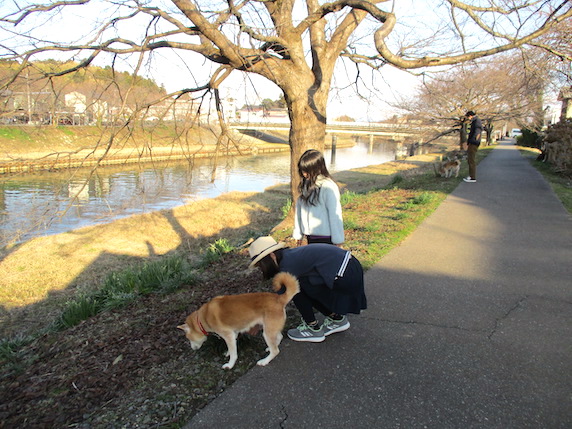 f:id:yonhonda:20210214092005j:plain
