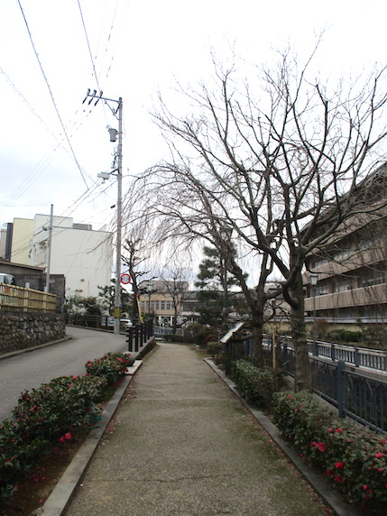 f:id:yonhonda:20210227090013j:plain